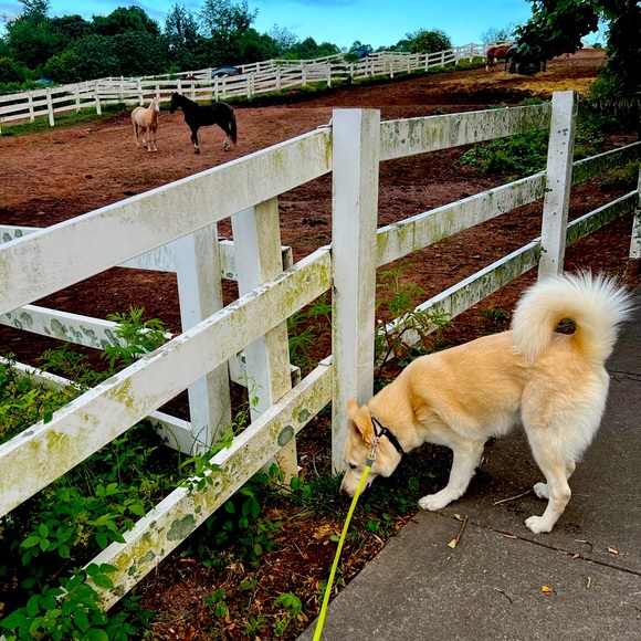 Meet Your Posher - Picture 2 of 6